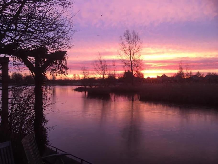 Gezellige Pipo Met Grote Schommel Aan Het Water Villa Medemblik Dış mekan fotoğraf
